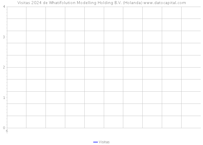 Visitas 2024 de Whatifolution Modelling Holding B.V. (Holanda) 