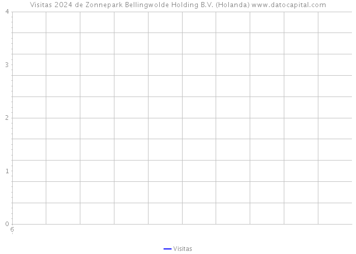 Visitas 2024 de Zonnepark Bellingwolde Holding B.V. (Holanda) 
