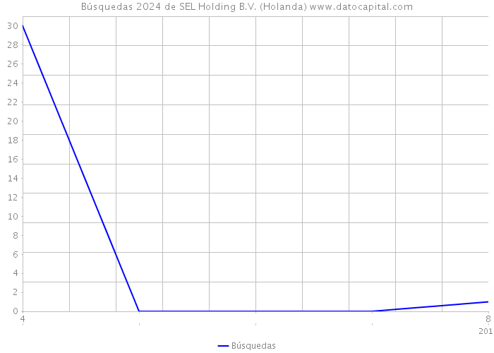 Búsquedas 2024 de SEL Holding B.V. (Holanda) 