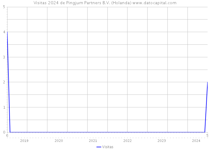 Visitas 2024 de Pingjum Partners B.V. (Holanda) 