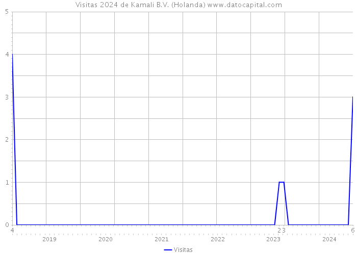 Visitas 2024 de Kamali B.V. (Holanda) 