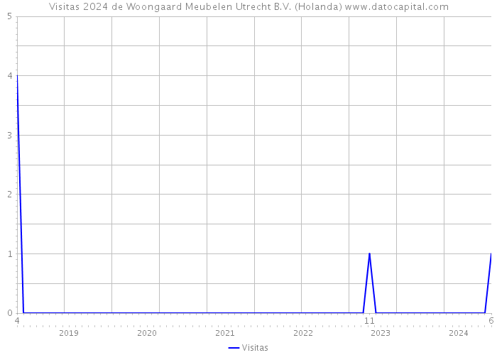 Visitas 2024 de Woongaard Meubelen Utrecht B.V. (Holanda) 