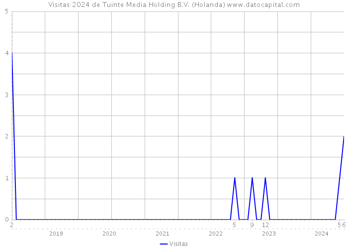 Visitas 2024 de Tuinte Media Holding B.V. (Holanda) 