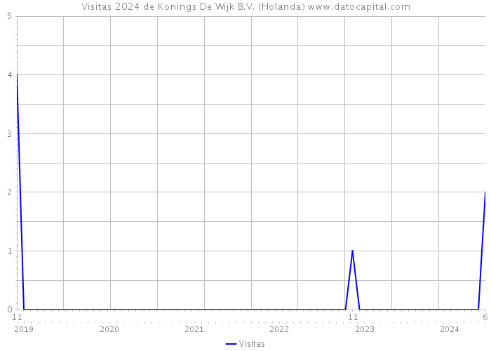 Visitas 2024 de Konings De Wijk B.V. (Holanda) 