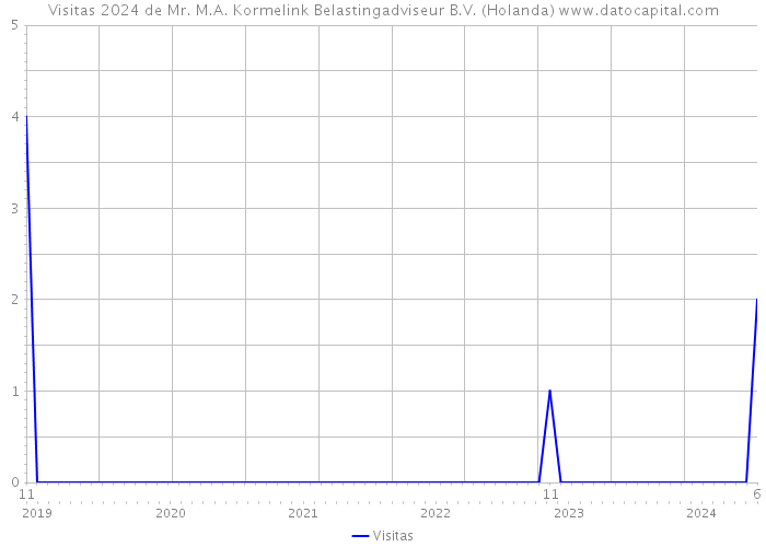 Visitas 2024 de Mr. M.A. Kormelink Belastingadviseur B.V. (Holanda) 