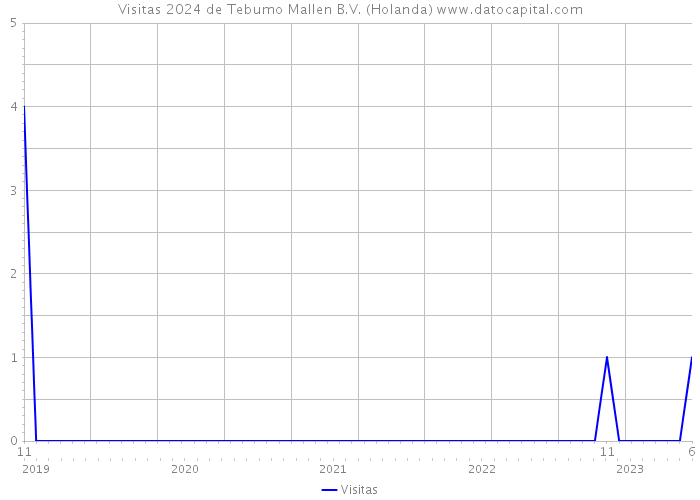 Visitas 2024 de Tebumo Mallen B.V. (Holanda) 