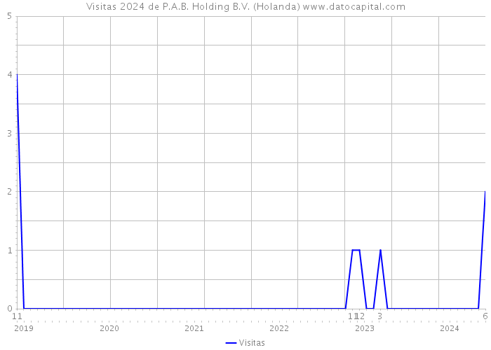 Visitas 2024 de P.A.B. Holding B.V. (Holanda) 