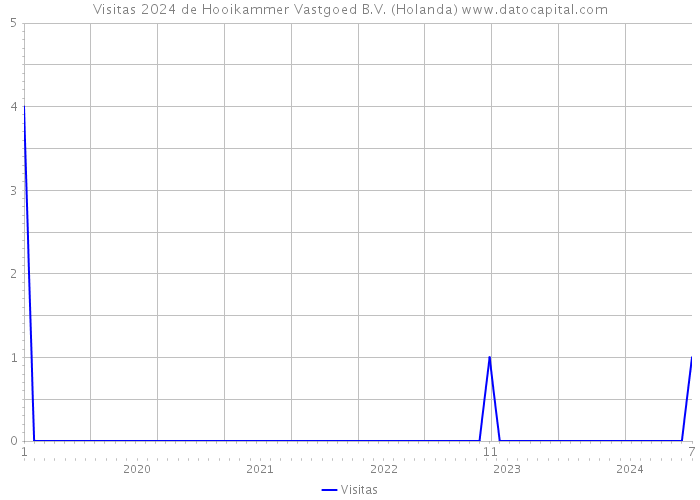 Visitas 2024 de Hooikammer Vastgoed B.V. (Holanda) 