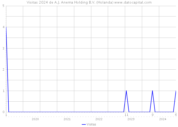 Visitas 2024 de A.J. Anema Holding B.V. (Holanda) 