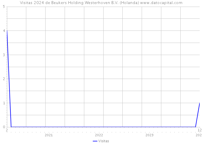 Visitas 2024 de Beukers Holding Westerhoven B.V. (Holanda) 