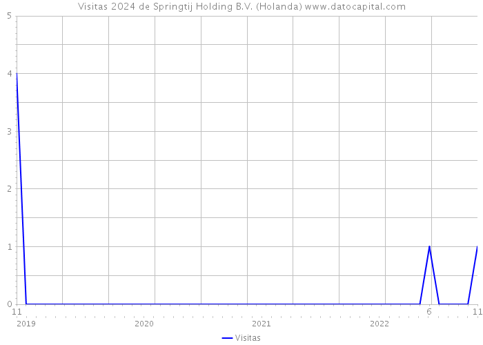 Visitas 2024 de Springtij Holding B.V. (Holanda) 