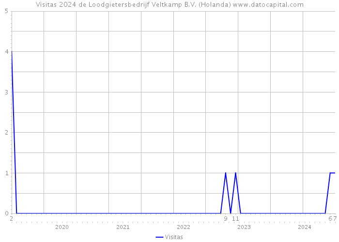 Visitas 2024 de Loodgietersbedrijf Veltkamp B.V. (Holanda) 