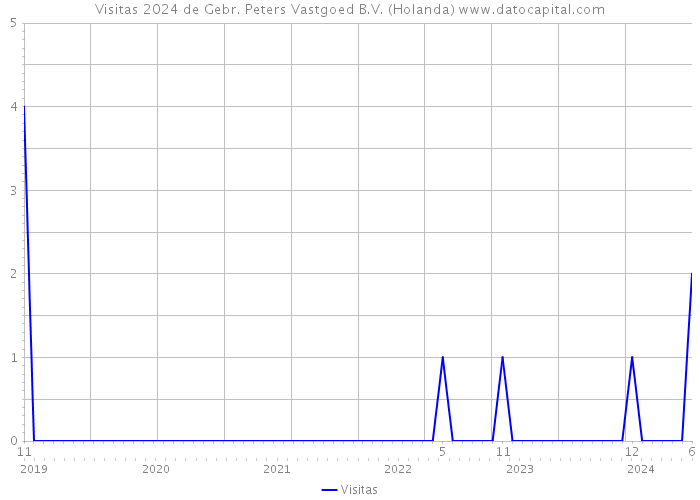 Visitas 2024 de Gebr. Peters Vastgoed B.V. (Holanda) 