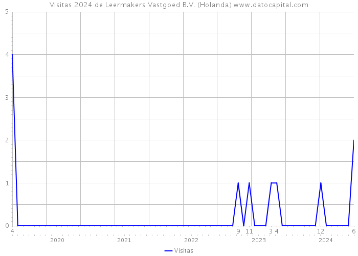 Visitas 2024 de Leermakers Vastgoed B.V. (Holanda) 