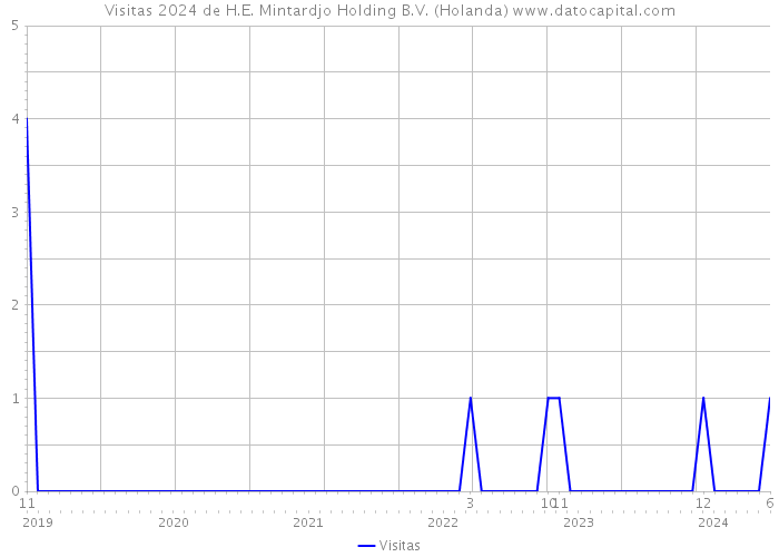 Visitas 2024 de H.E. Mintardjo Holding B.V. (Holanda) 