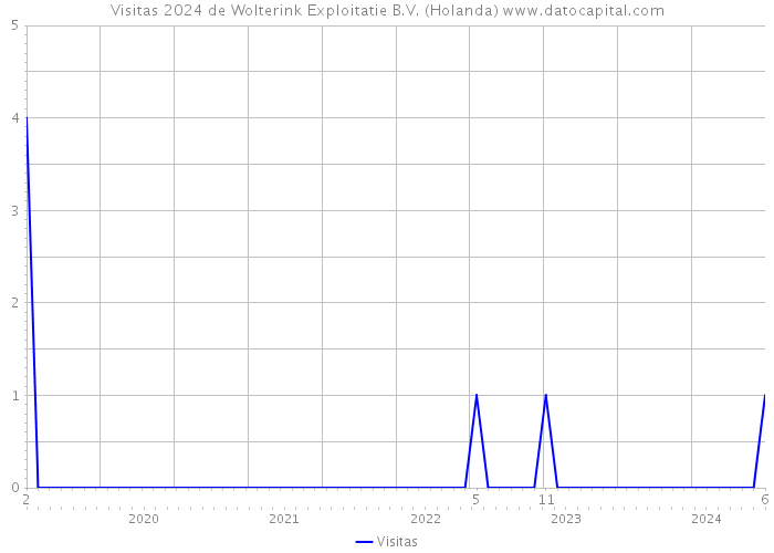 Visitas 2024 de Wolterink Exploitatie B.V. (Holanda) 