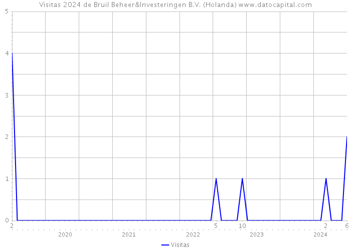 Visitas 2024 de Bruil Beheer&Investeringen B.V. (Holanda) 