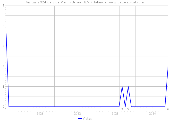 Visitas 2024 de Blue Marlin Beheer B.V. (Holanda) 