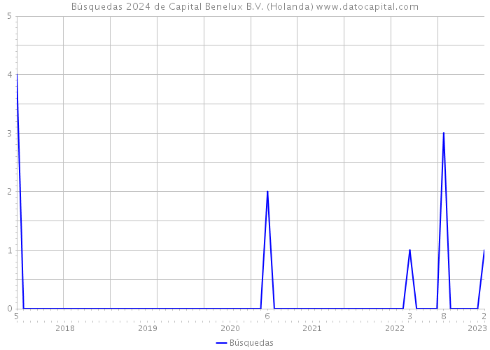 Búsquedas 2024 de Capital Benelux B.V. (Holanda) 