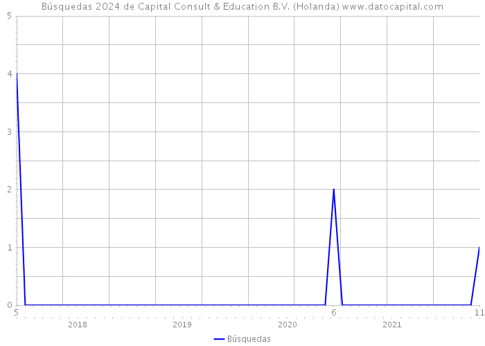 Búsquedas 2024 de Capital Consult & Education B.V. (Holanda) 