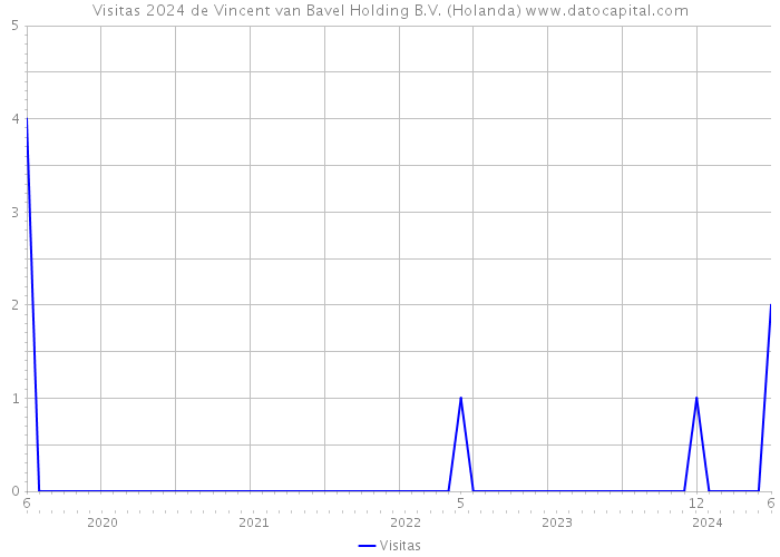 Visitas 2024 de Vincent van Bavel Holding B.V. (Holanda) 