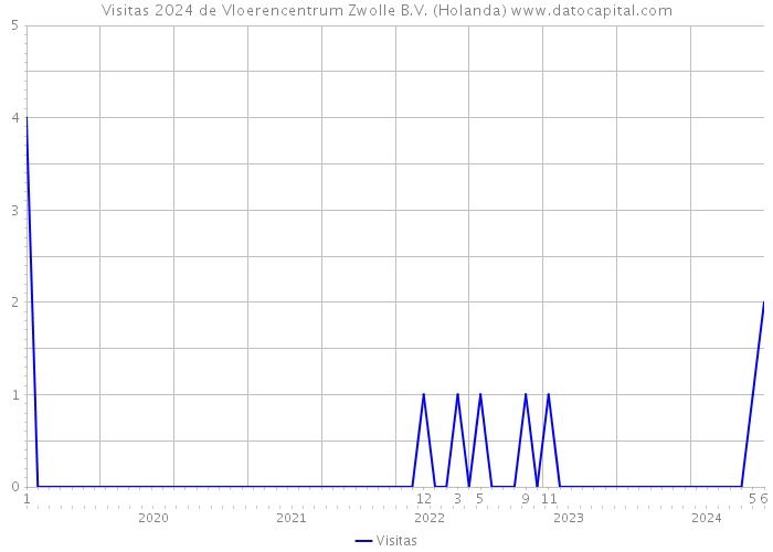 Visitas 2024 de Vloerencentrum Zwolle B.V. (Holanda) 