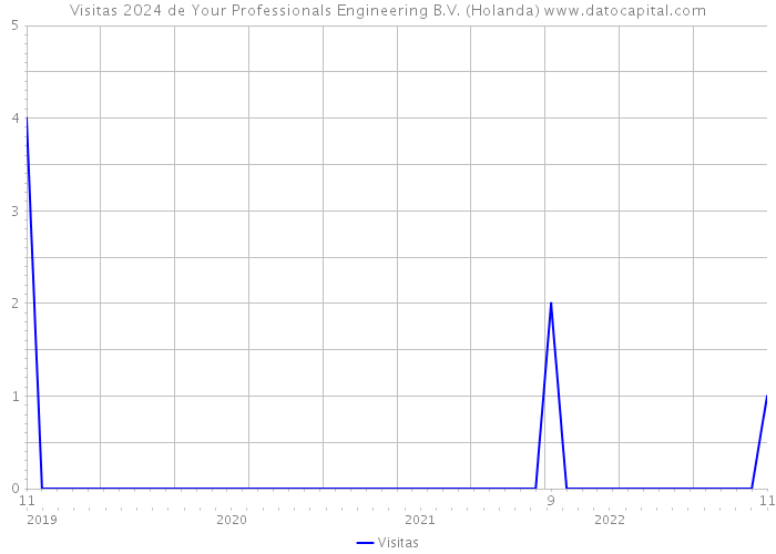 Visitas 2024 de Your Professionals Engineering B.V. (Holanda) 
