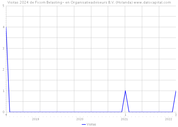 Visitas 2024 de Ficom Belasting- en Organisatieadviseurs B.V. (Holanda) 