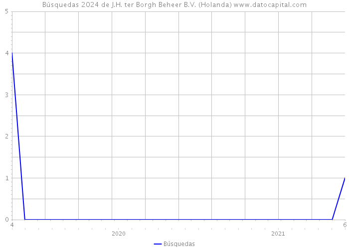 Búsquedas 2024 de J.H. ter Borgh Beheer B.V. (Holanda) 