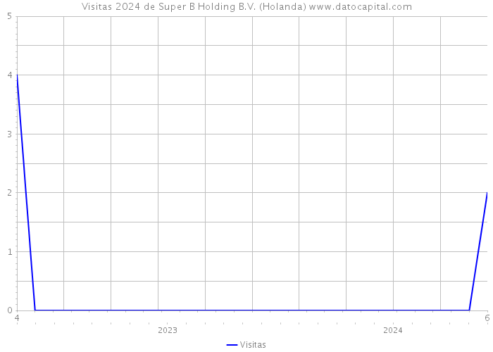 Visitas 2024 de Super B Holding B.V. (Holanda) 