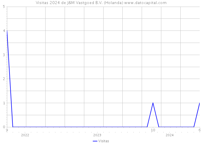 Visitas 2024 de J&M Vastgoed B.V. (Holanda) 