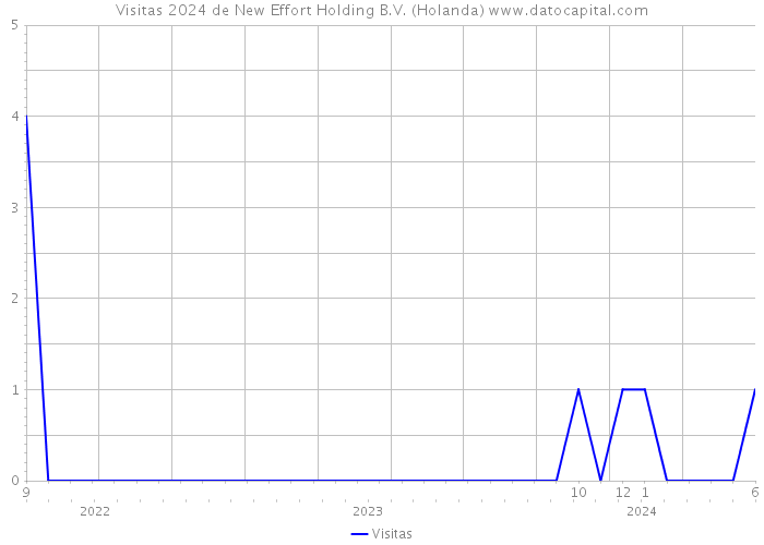 Visitas 2024 de New Effort Holding B.V. (Holanda) 