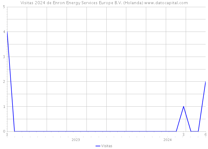 Visitas 2024 de Enron Energy Services Europe B.V. (Holanda) 
