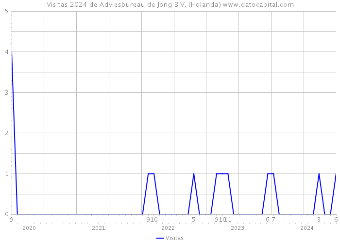 Visitas 2024 de Adviesbureau de Jong B.V. (Holanda) 