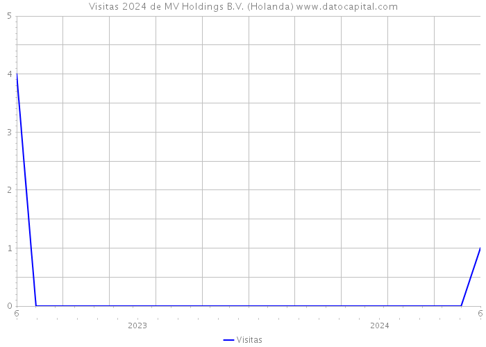 Visitas 2024 de MV Holdings B.V. (Holanda) 