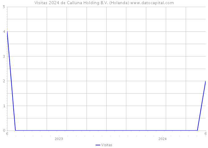 Visitas 2024 de Calluna Holding B.V. (Holanda) 