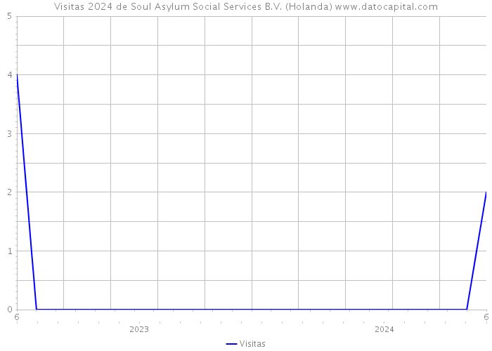 Visitas 2024 de Soul Asylum Social Services B.V. (Holanda) 