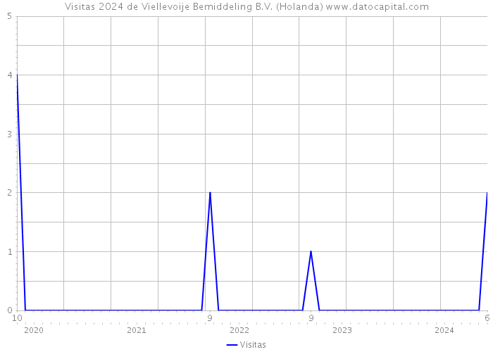 Visitas 2024 de Viellevoije Bemiddeling B.V. (Holanda) 