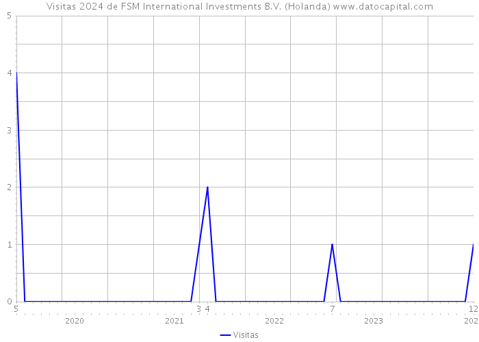 Visitas 2024 de FSM International Investments B.V. (Holanda) 