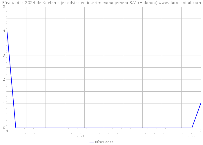 Búsquedas 2024 de Koelemeijer advies en interim management B.V. (Holanda) 