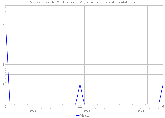 Visitas 2024 de ROJU Beheer B.V. (Holanda) 