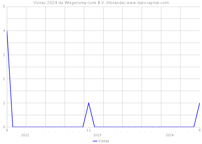 Visitas 2024 de Wiegersma-Link B.V. (Holanda) 