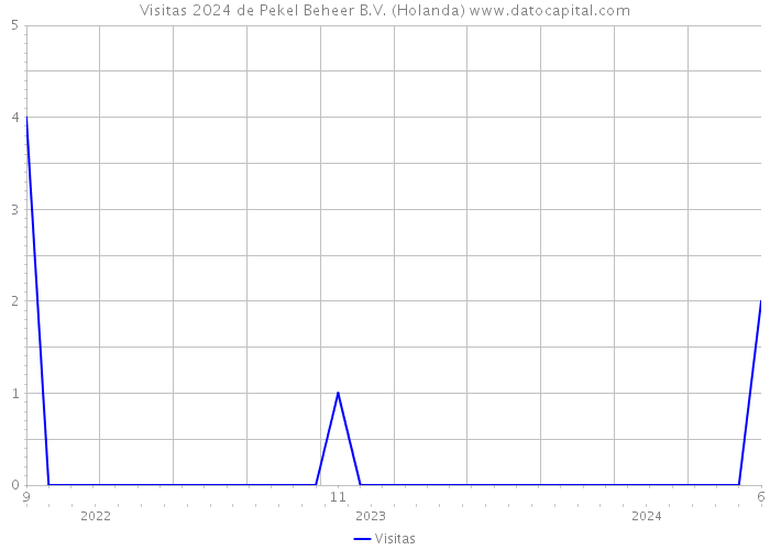 Visitas 2024 de Pekel Beheer B.V. (Holanda) 