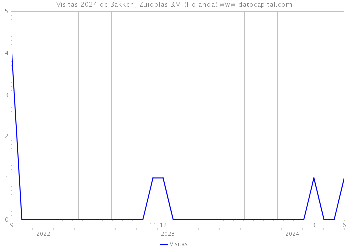 Visitas 2024 de Bakkerij Zuidplas B.V. (Holanda) 