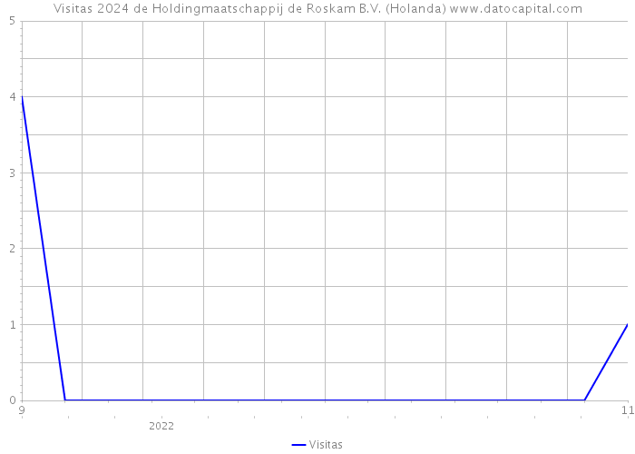 Visitas 2024 de Holdingmaatschappij de Roskam B.V. (Holanda) 