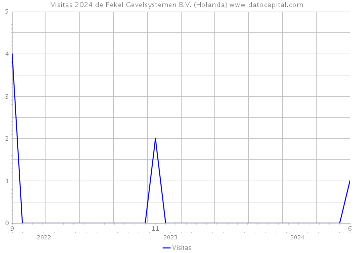 Visitas 2024 de Pekel Gevelsystemen B.V. (Holanda) 