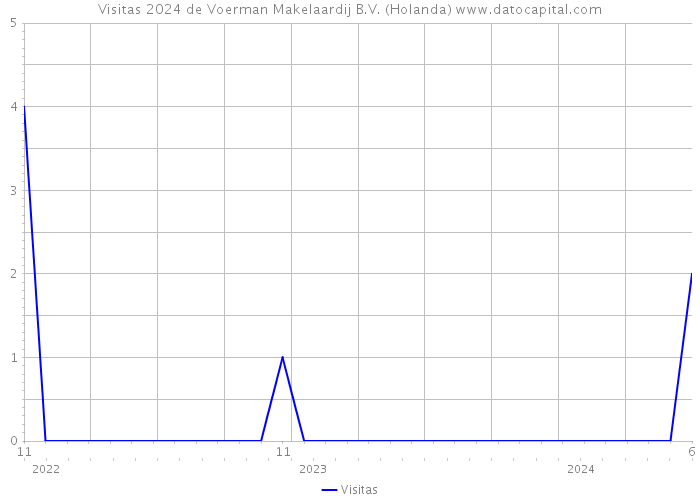 Visitas 2024 de Voerman Makelaardij B.V. (Holanda) 