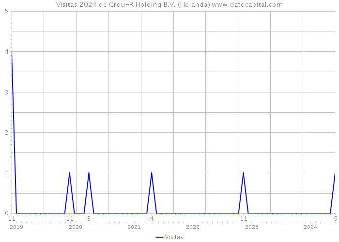 Visitas 2024 de Grou-R Holding B.V. (Holanda) 