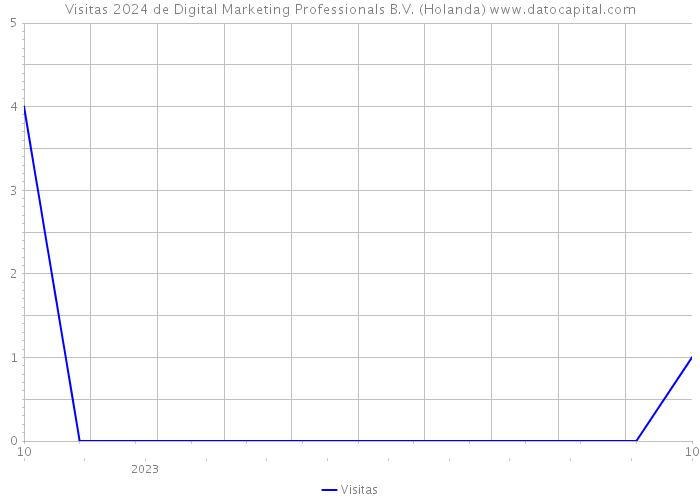 Visitas 2024 de Digital Marketing Professionals B.V. (Holanda) 