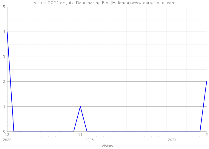 Visitas 2024 de Juist Detachering B.V. (Holanda) 